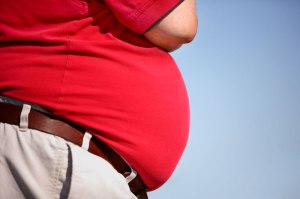 Developing therapies to fight Obesity